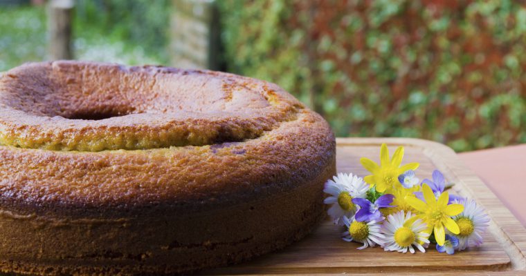 Ciambellone bicolore ai frutti di bosco